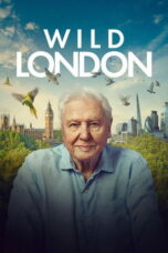 Nonton film Wild London sub indo