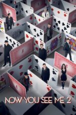 Nonton film Now You See Me 2 sub indo