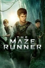 Nonton film The Maze Runner sub indo