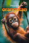 Nonton film Orangutan sub indo Nonton film Orangutan sub indo