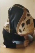 Nonton film Hijab Cantik Ngentot Dengan Kekasih sub indo
